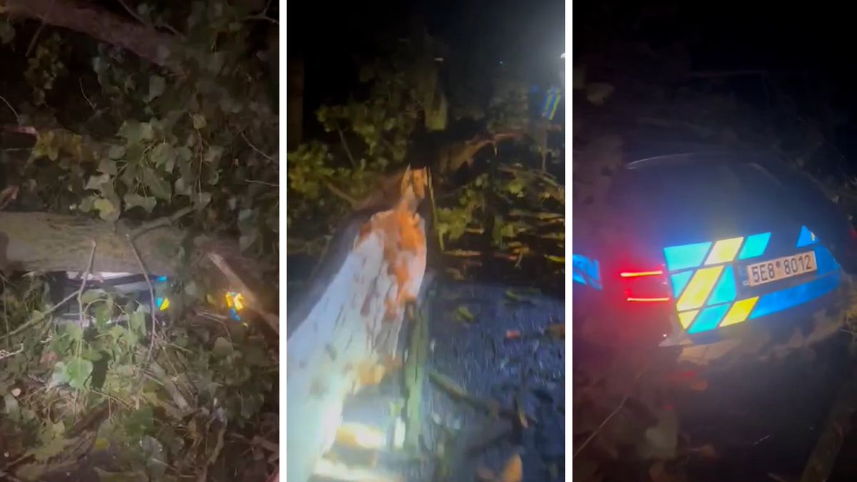 Na projíždějící policejní auto na Orlickoústecku spadl za větru strom